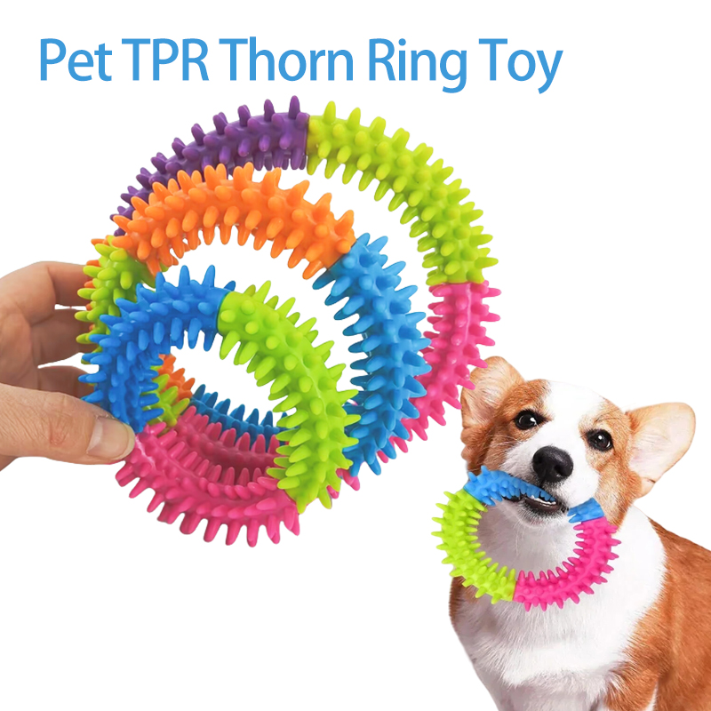 Flying Disc Dog Training Toy - Mainan Anjing Lucu, Cakram Terbang untuk