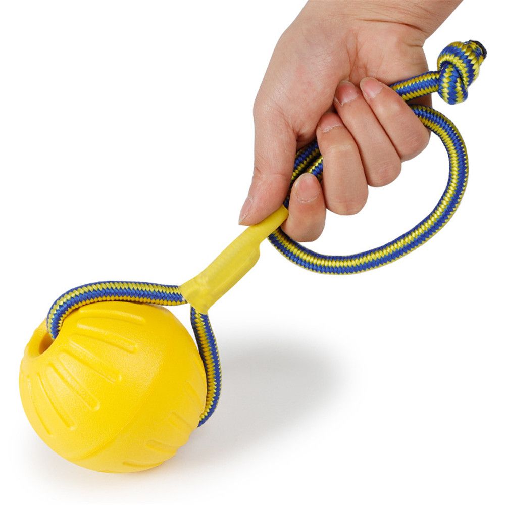 Mainan anjing peliharaan bola  - Suction Cup Dog Tug Toy ulasan dan harga
