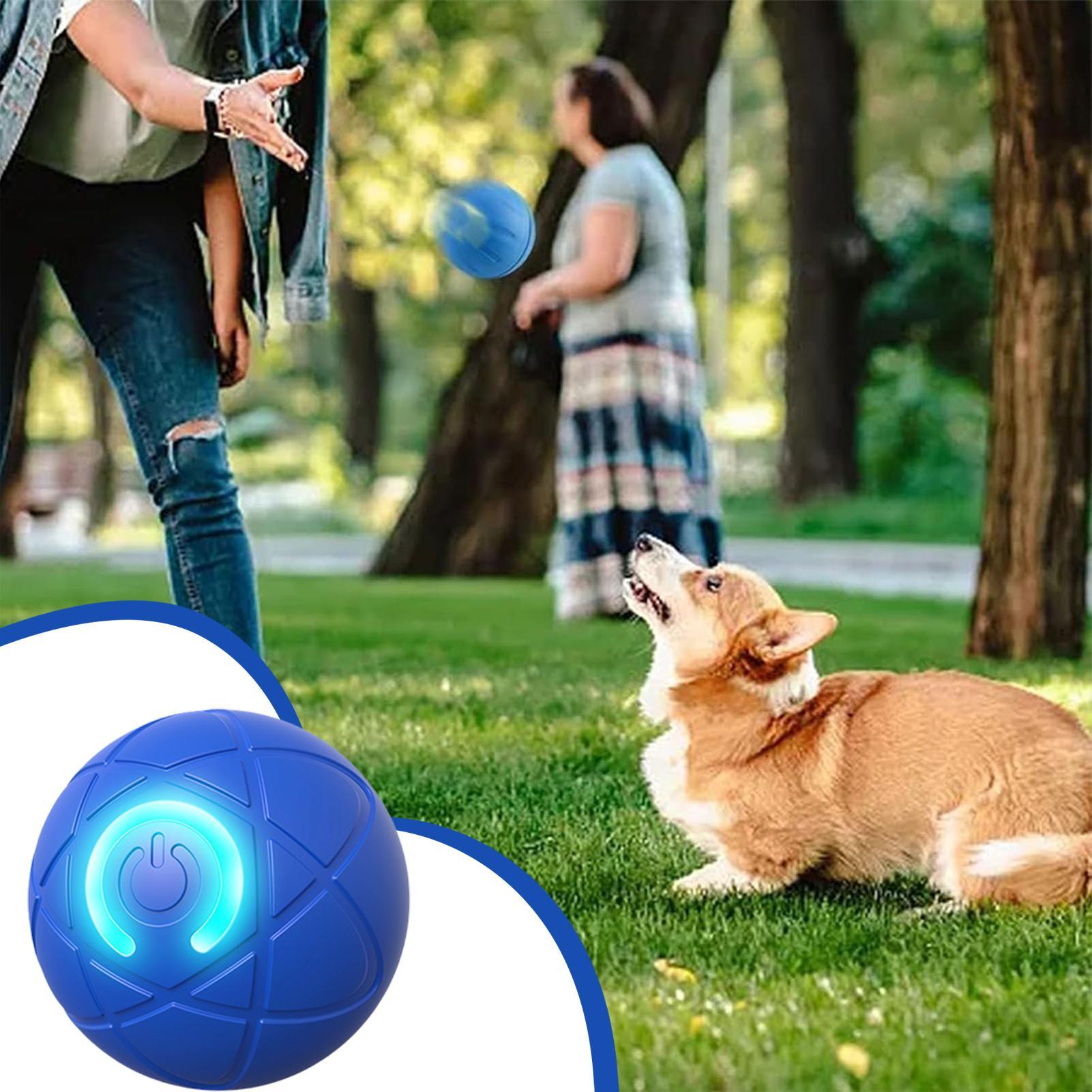 Mainan Anjing Interaktif Pinta - Automatic Moving Dog Ball ulasan dan harga