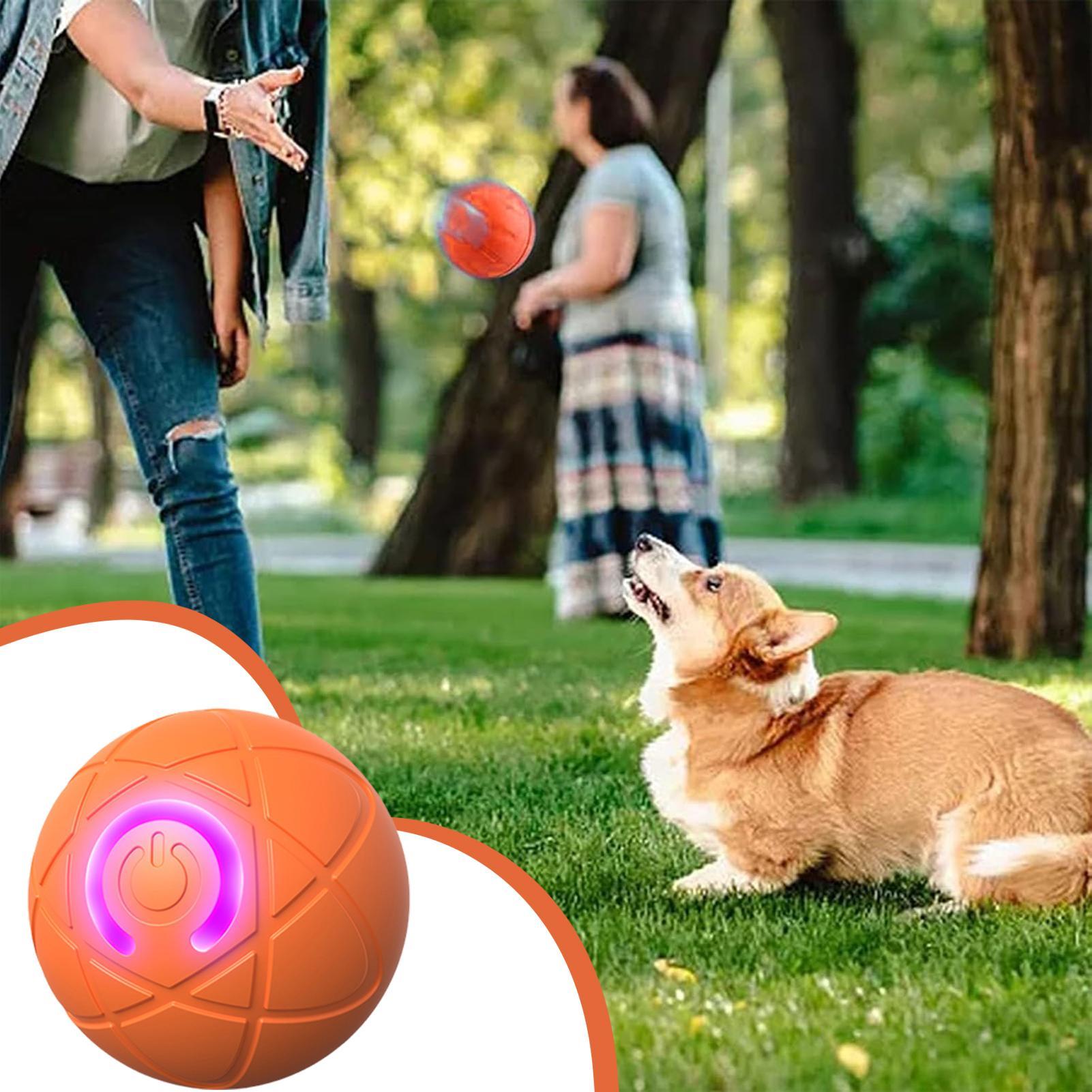 Mainan Anjing Interaktif Pinta - Automatic Moving Dog Ball ulasan dan harga