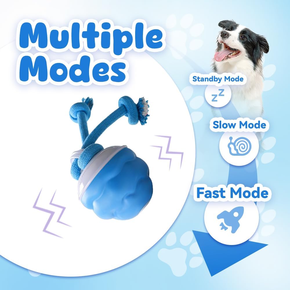 Mainan Anjing Pintar, Bola Ber - Automatic Moving Dog Ball ulasan dan harga