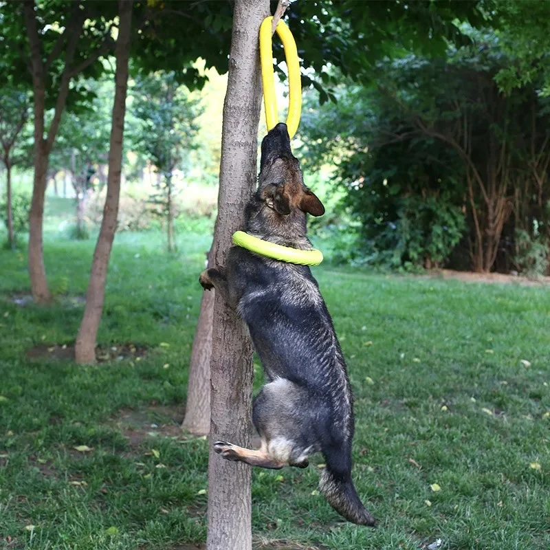 Mainan Anjing, Cakram Terbang  - Flying Disc Dog Training Toy ulasan dan harga