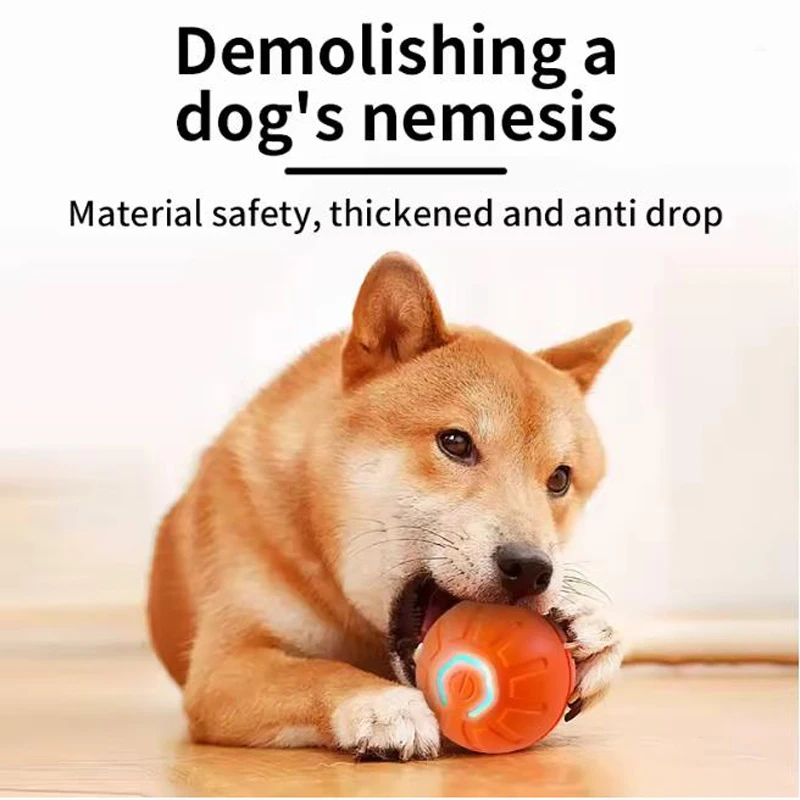 Bola Mainan Interaktif Cerdas  - Automatic Moving Dog Ball ulasan dan harga