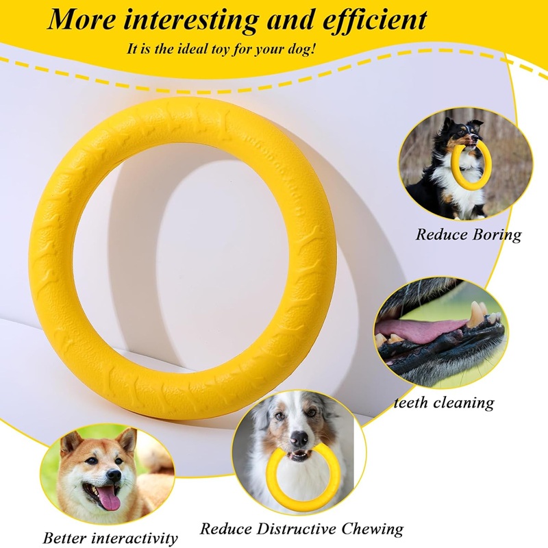 Mainan Anjing, Cakram Terbang  - Flying Disc Dog Training Toy ulasan dan harga