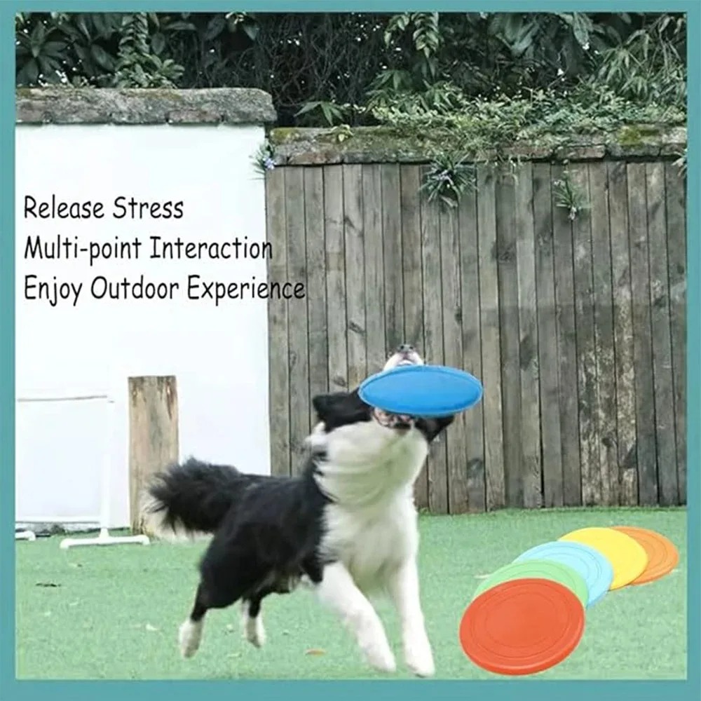 Mainan Anjing Kucing Bentuk Pi - Flying Disc Dog Training Toy ulasan dan harga